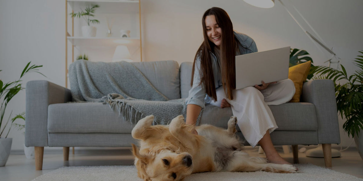 Happy woman using laptop while petting golden retriever on living room floor