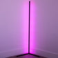 RGB Dimmable LED Corner Floor Lamp