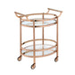Lakelyn Clear Glass & Rose Gold Finish Serving Cart with 2 Shelves